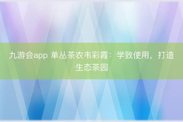 九游会app 单丛茶农韦彩霞：学致使用，打造生态茶园