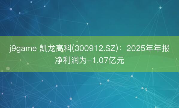 j9game 凯龙高科(300912.SZ)：2025年年报净利润为-1.07亿元