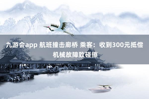 九游会app 航班撞击廊桥 乘客：收到300元抵偿 机械故障致碰擦