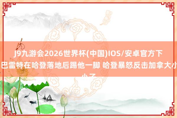 J9九游会2026世界杯(中国)IOS/安卓官方下载 巴雷特在哈登落地后踢他一脚 哈登暴怒反击加拿大小子