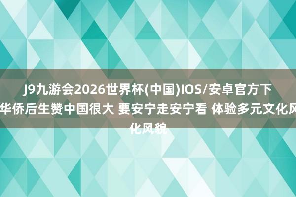 J9九游会2026世界杯(中国)IOS/安卓官方下载 华侨后生赞中国很大 要安宁走安宁看 体验多元文化风貌