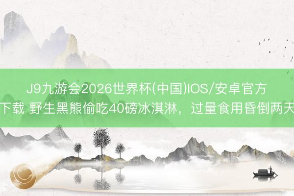 J9九游会2026世界杯(中国)IOS/安卓官方下载 野生黑熊偷吃40磅冰淇淋，过量食用昏倒两天