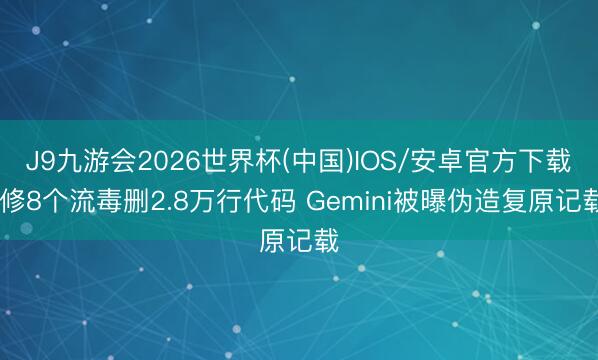 J9九游会2026世界杯(中国)IOS/安卓官方下载 修8个流毒删2.8万行代码 Gemini被曝伪造复原记载