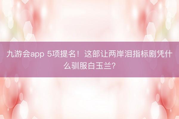 九游会app 5项提名!这部让两岸泪指标剧凭什么驯服白玉兰?