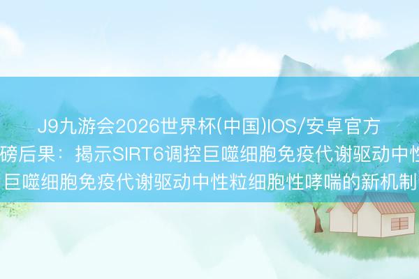 J9九游会2026世界杯(中国)IOS/安卓官方下载 广东医东莞一院重磅后果:揭示SIRT6调控巨噬细胞免疫代谢驱动中性粒细胞性哮喘的新机制